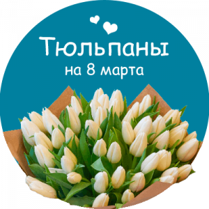 Купить тюльпаны в Ставрополе